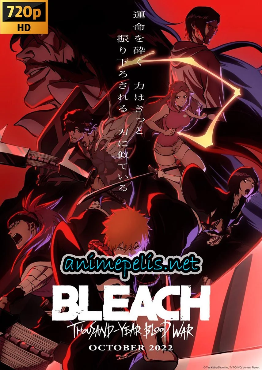 Descargar BLEACH: THOUSAND YEAR BLOOD WAR (BLEACH: SENNEN KESSEN-HEN) [13/13] audio [LATINO | JAPONÉS] calidad [HD 720P] por [MEDIAFIRE]