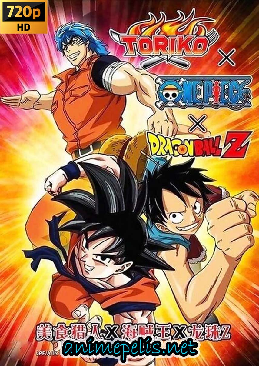 Descargar DRAGON BALL: TORIKO ONE PIECE Y DBZ ESPECIAL COLABORACIÓN (2013) [HD 720P] [MEDIAFIRE | UPTOBOX]