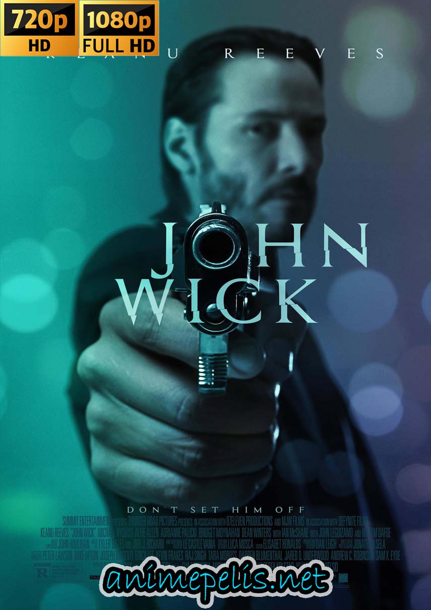 Descargar JOHN WICK: OTRO DÍA PARA MATAR (2014) [HD 720P] [MEDIAFIRE | UPTOBOX]