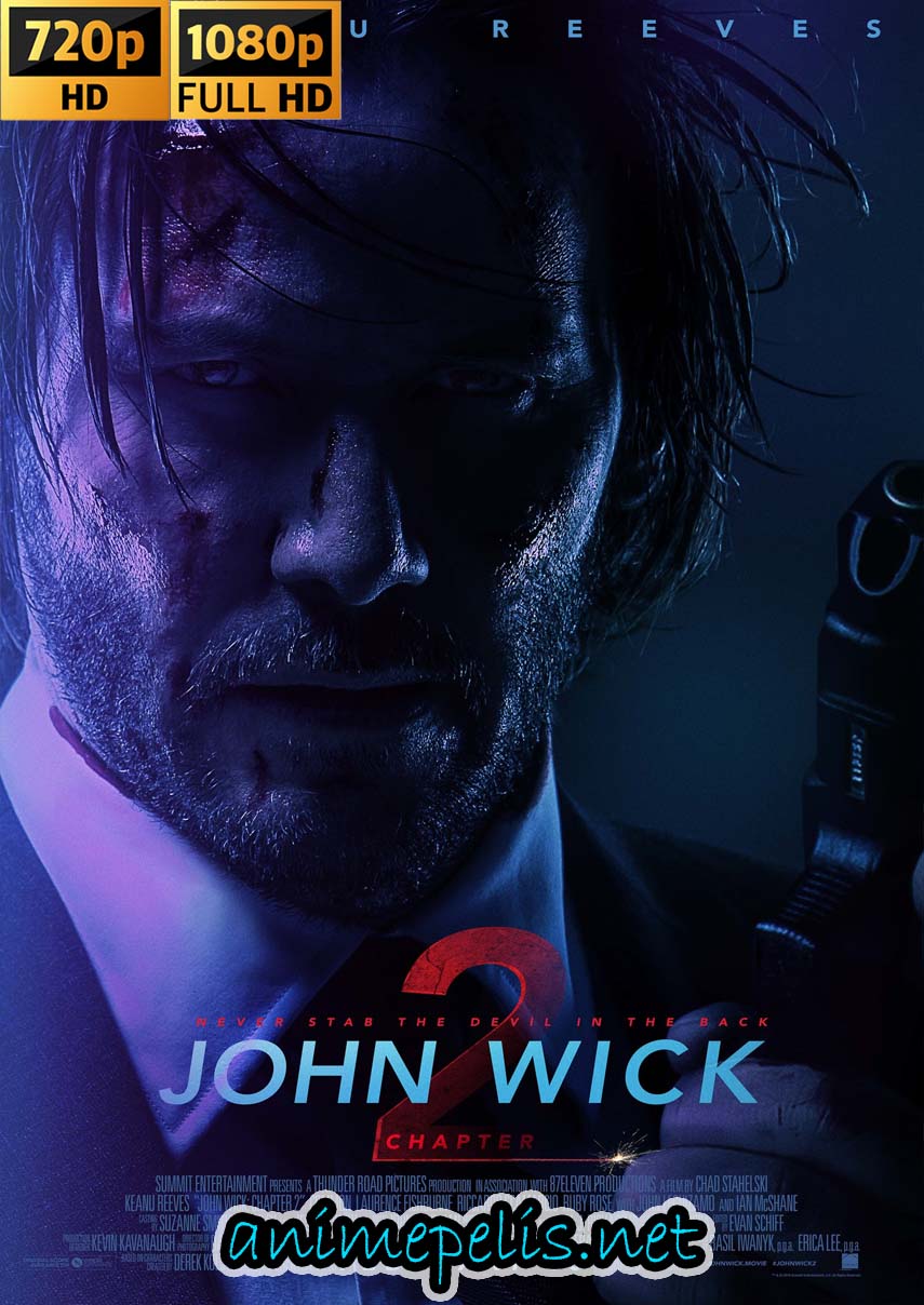 Descargar JOHN WICK 2: UN NUEVO DÍA PARA MATAR (2017) [HD 720P] [MEDIAFIRE | UPTOBOX]