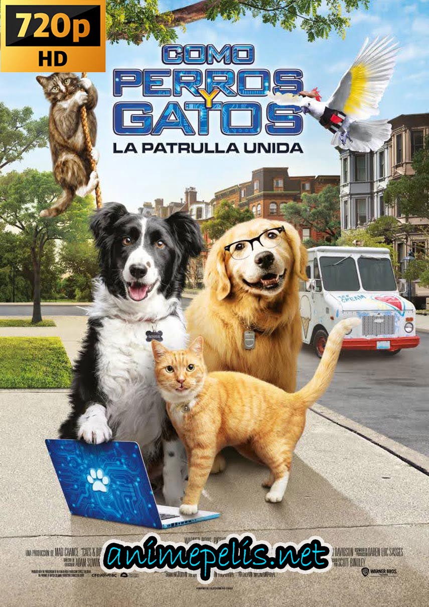 DESCARGAR COMO PERROS Y GATOS 3: ¡TODOS A UNA! [ESPAÑOL LATINO] [HD 720P] [MEDIAFIRE]