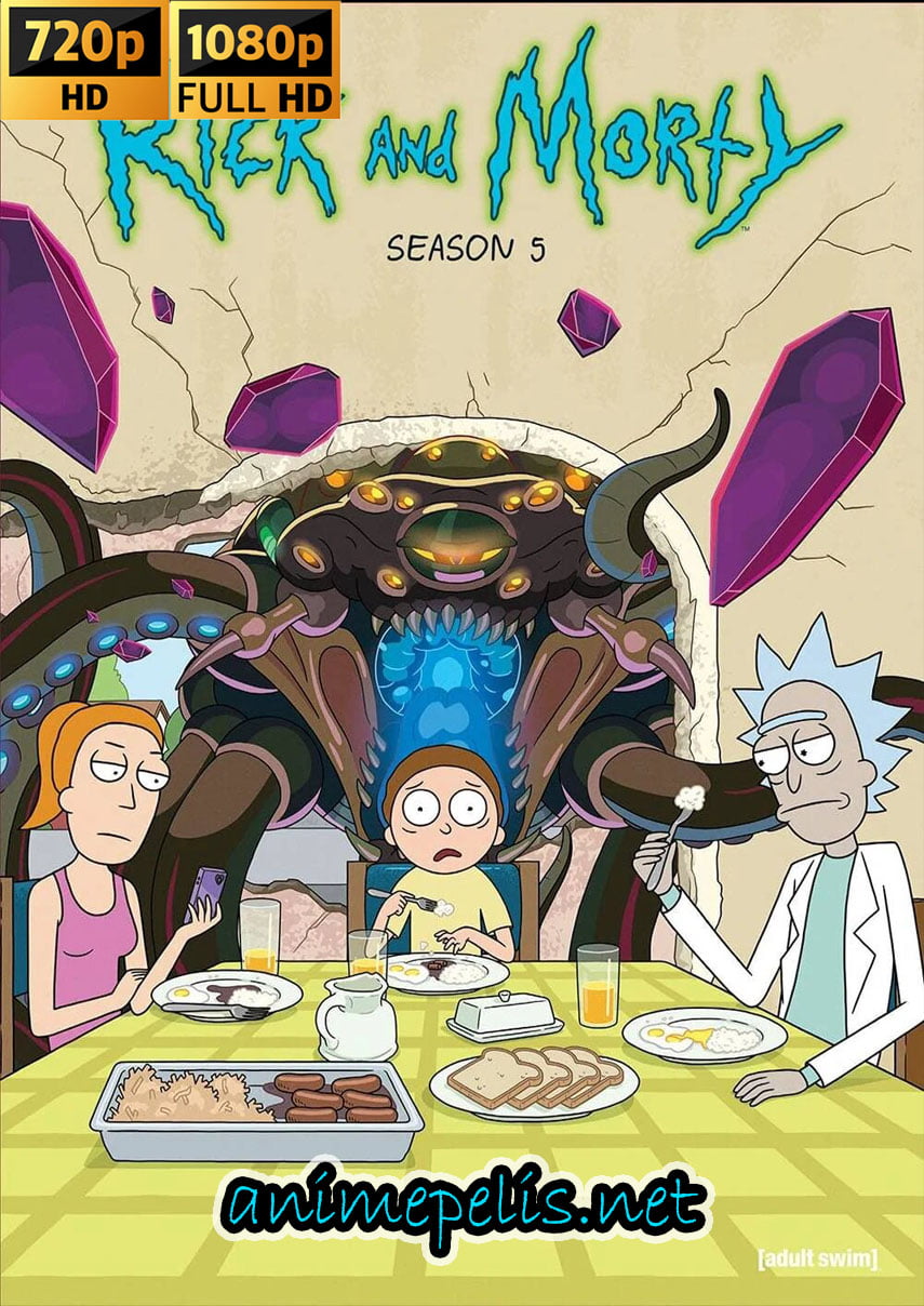 DESCARGAR RICK Y MORTY TEMPORADA 5 [AUDIO LATINO] [HD 720 | FULL HD 1080P] [MEDIAFIRE] [GOOGLE DRIVE]