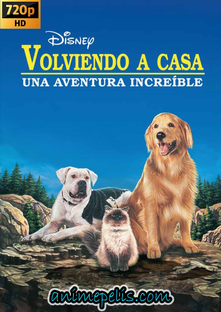 DESCARGAR VOLVIENDO A CASA: UN VIAJE INCREÍBLE (1993) [HD 720P] [MEDIAFIRE | UPTOBOX]