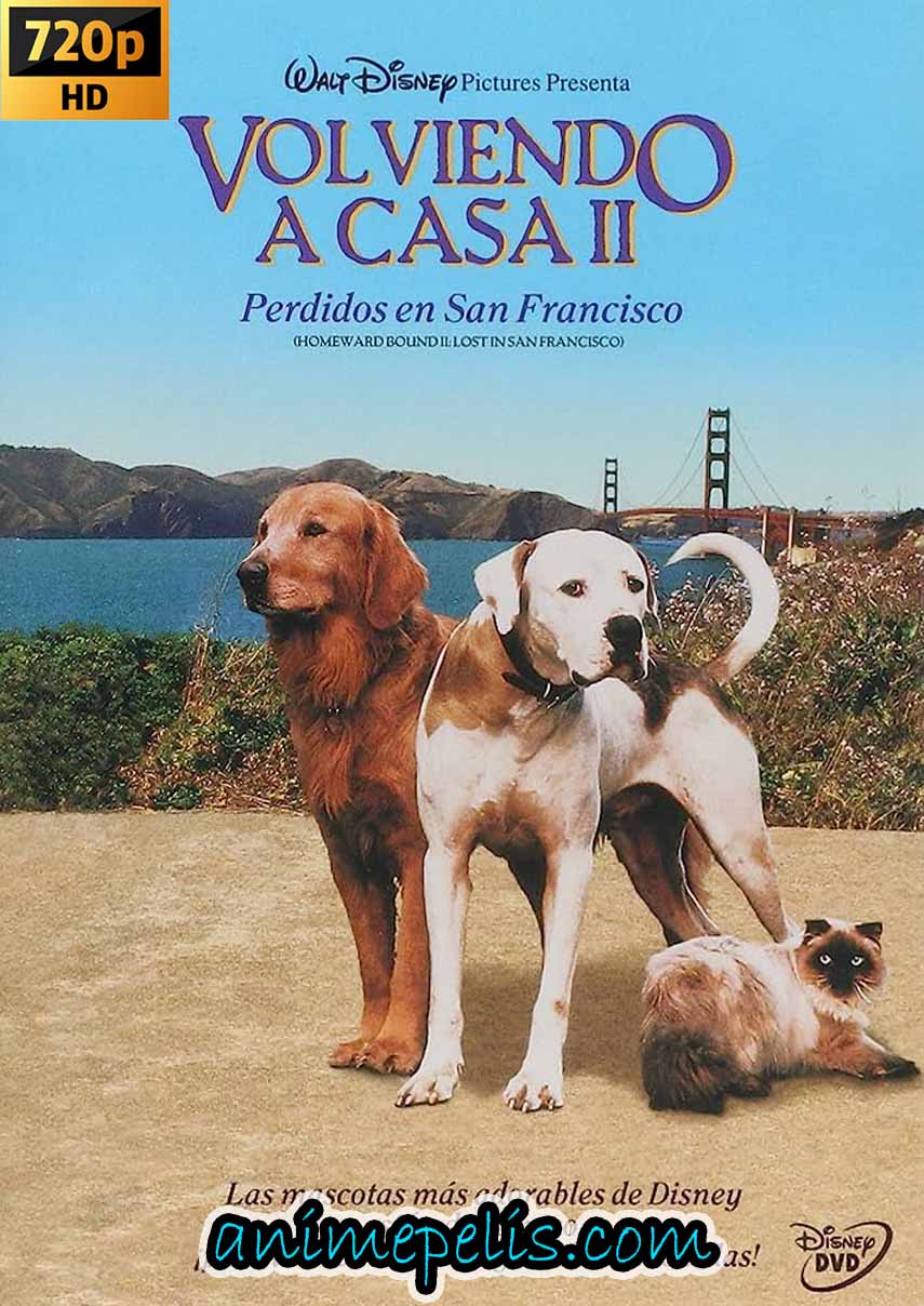 DESCARGAR VOLVIENDO A CASA 2: PERDIDOS EN SAN FRANCISCO (1996) [HD 720P] [MEDIAFIRE | UPTOBOX]