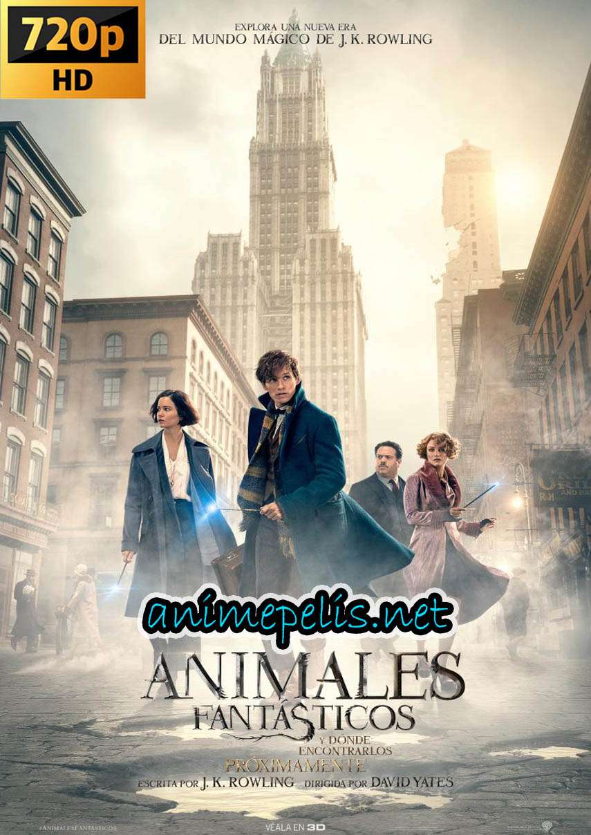 ANIMALES FANTÁSTICOS Y DONDE ENCONTRARLOS [ESPAÑOL LATINO] [HD 720P] [MEDIAFIRE | MEGA | GOOGLE DRIVE]