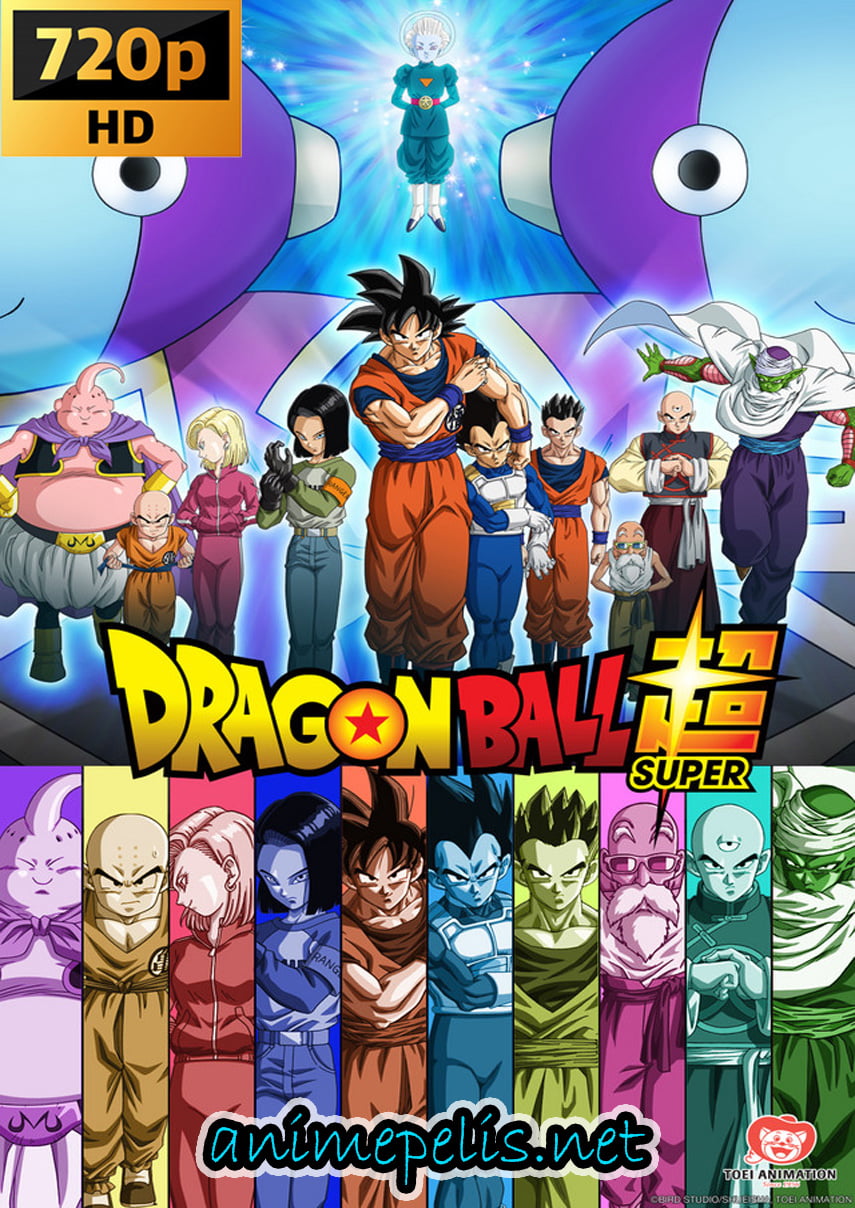 DESCARGAR DRAGON BALL SUPER [131/131] [LATINO] [HD 720P] [MEDIAFIRE | MEGA]