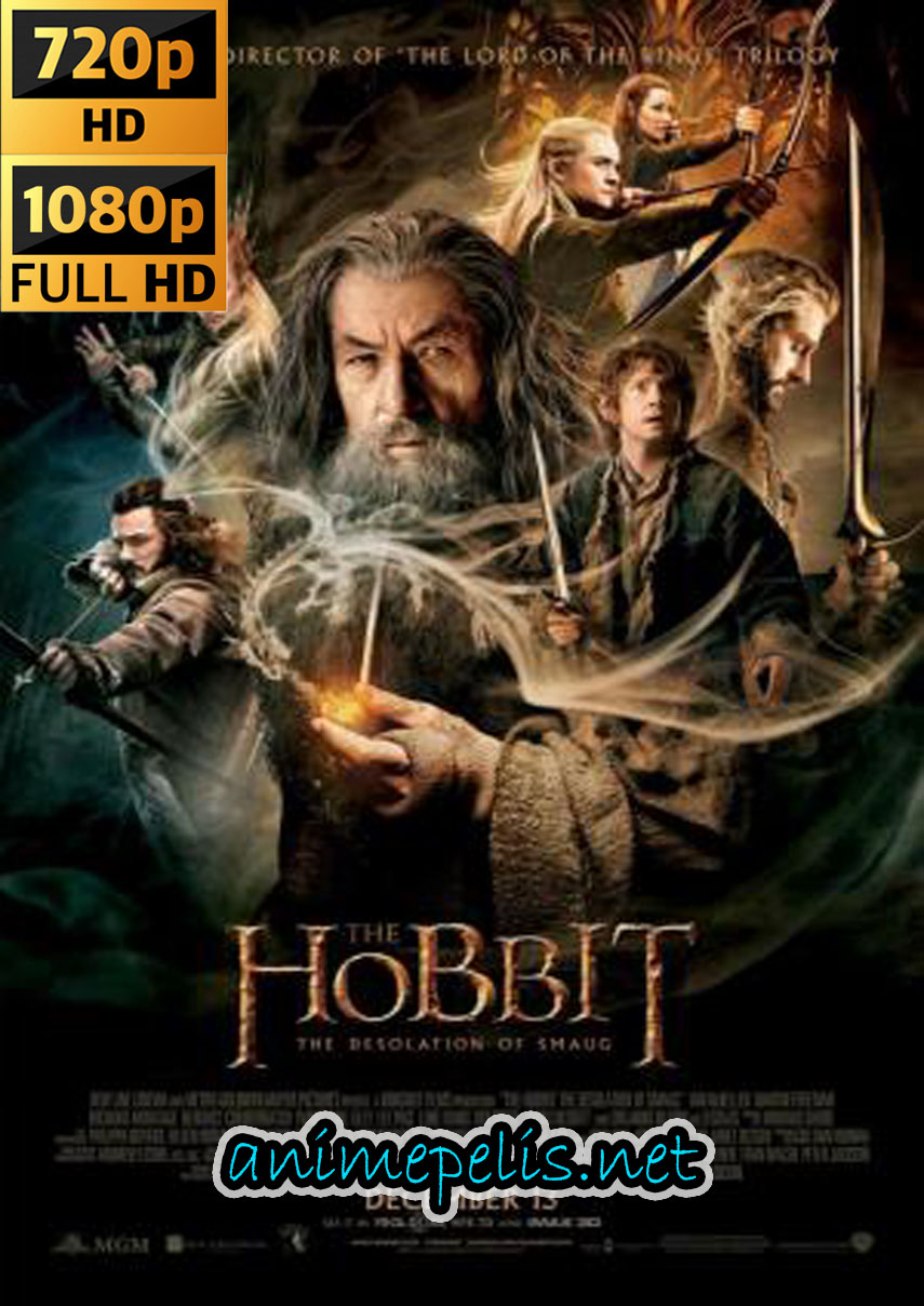 DESCARGAR El hobbit: La desolación de smaug (Versión extendida) [FULL HD 1080p | HD 720p] [MEDIAFIRE | MEGA | GOOGLE DRIVE | 1FICHIER]