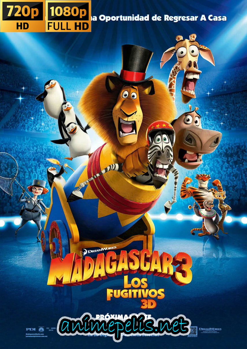 Descargar MADAGASCAR 3: LOS FUJITIVOS audio [ESPAÑOL LATINO] calidad [HD 720P] por [MEDIAFIRE]