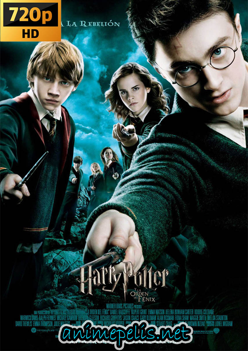 HARRY POTTER Y LA ORDEN DEL FENIX [ESPAÑOL LATINO] [HD 720P] [MEDIAFIRE | UPTOBOX]