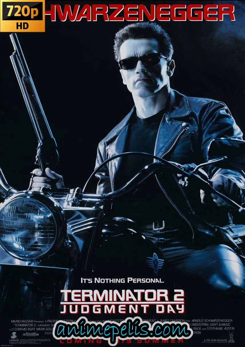 Descargar TERMINATOR 2: JUICIO FINAL (1991) [HD 720P] [MEDIAFIRE | UPTOBOX]