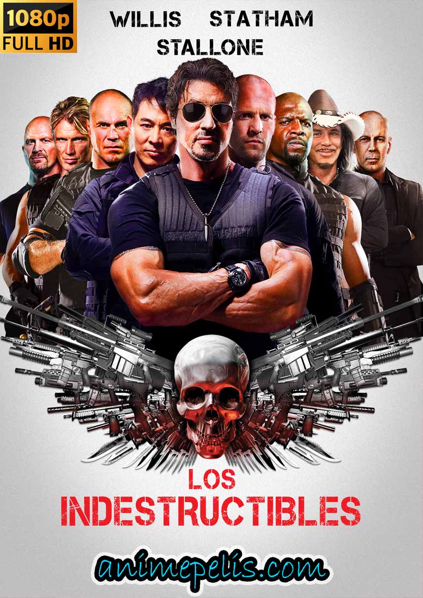 LOS INDESTRUCTIBLES (2010) [1080P] [MEDIAFIRE | MEGA | GOOGLE DRIVE]