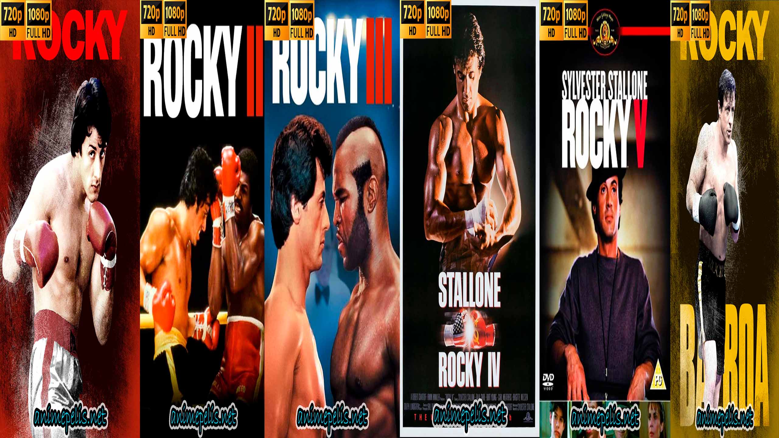 ROCKY TODAS LAS PELICULAS