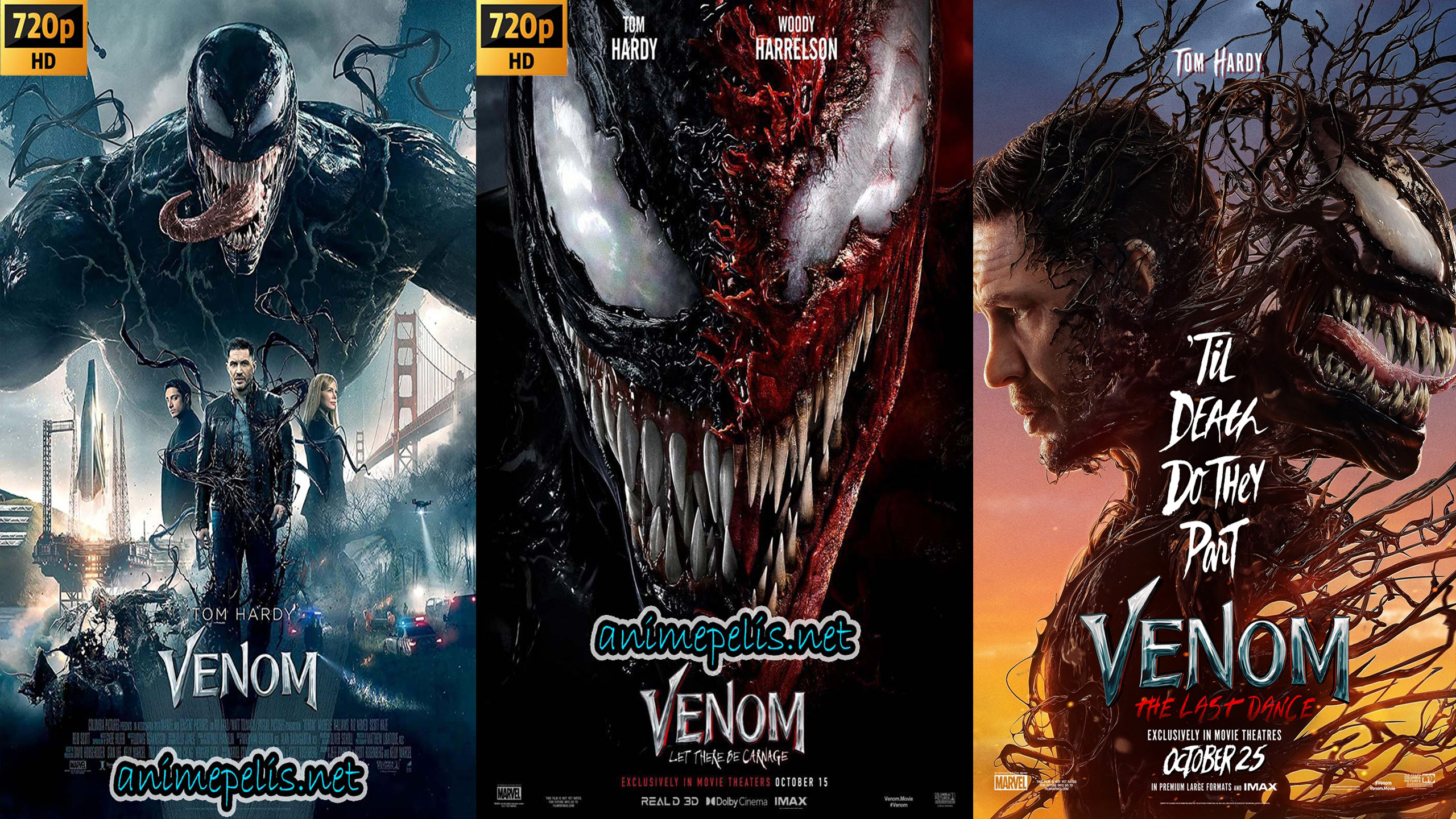 DESCARGAR VENOM TODAS LAS PELÍCULAS