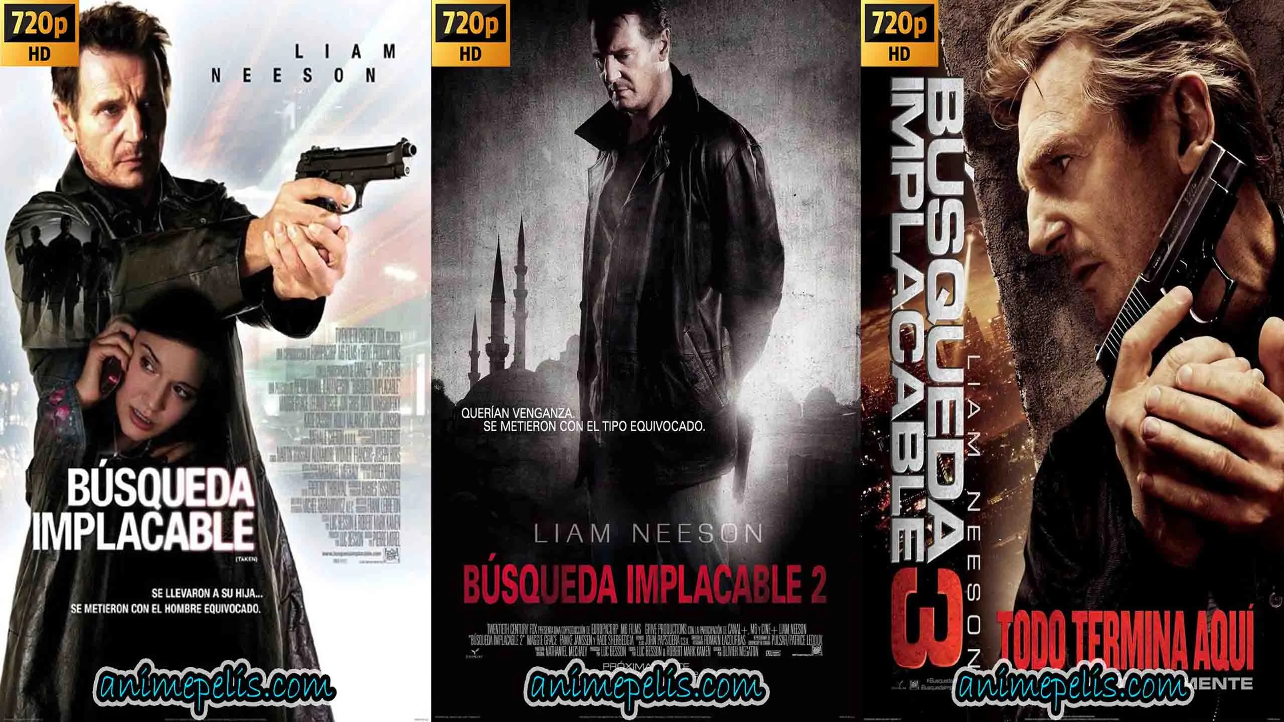 DESCARGAR BÚSQUEDA IMPLACABLE COMPLETO TODAS LAS PELÍCULAS