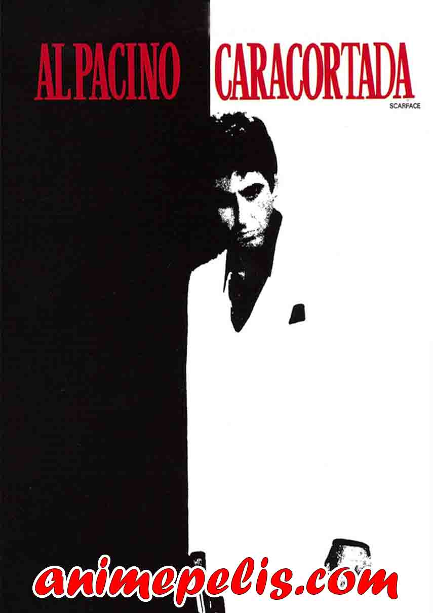 Descargar Caracortada (1983) [HD-1080P] [MEDIAFIRE]